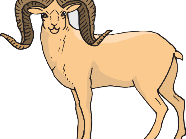 Bighorn Sheep Clipart Ram - Bighorn Sheep Cartoon Cute - Png Download (640x480), Png Download