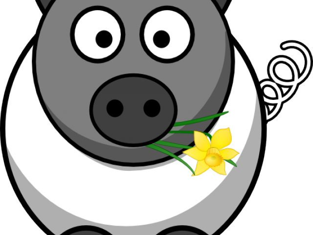 Sheep Clipart Pig - Png Download (640x480), Png Download