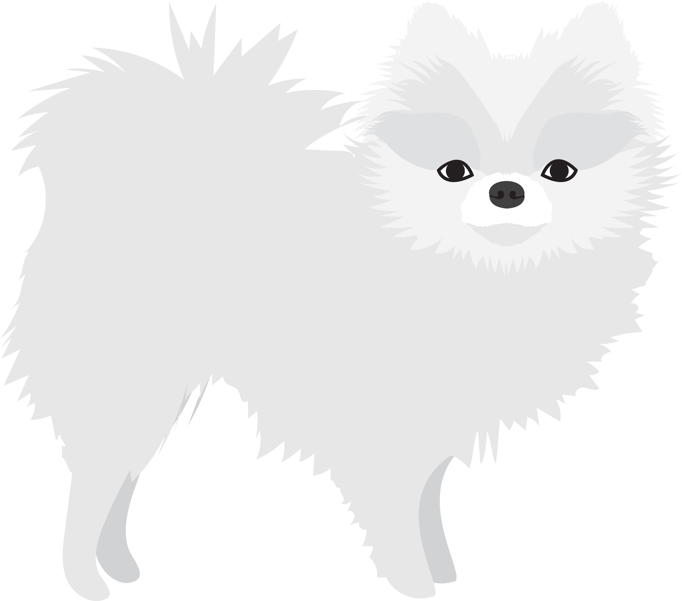 White Pomeranian - Pomeranian Clipart (3000x2400), Png Download