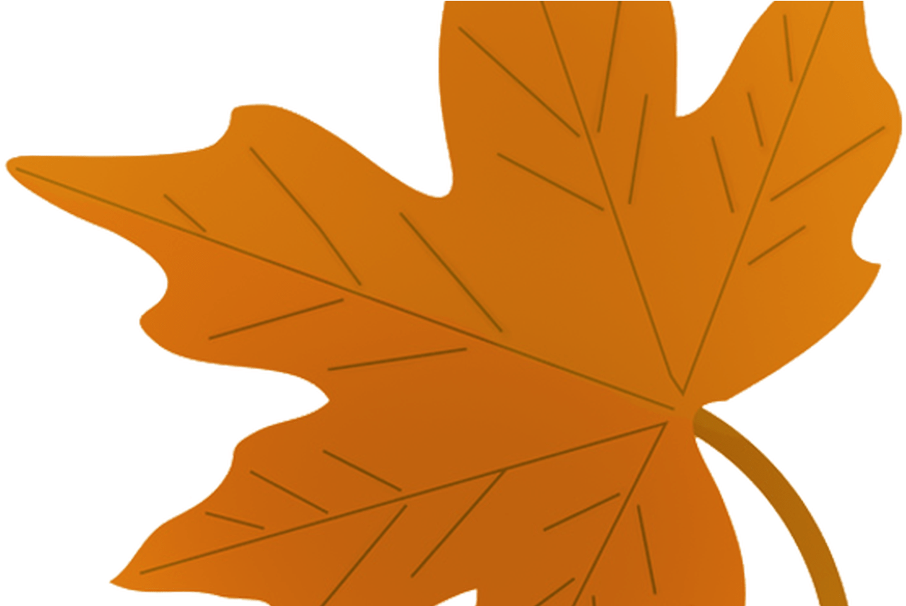 Clipart Fall Simple Fall - Fall Leaves Drawings - Png Download (1281x856), Png Download