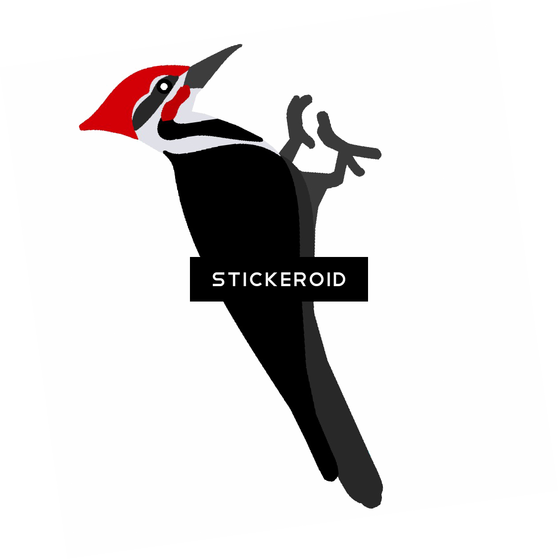 Pileated Woodpecker , Png Download - Ivory-billed Woodpecker Clipart (1128x1129), Png Download