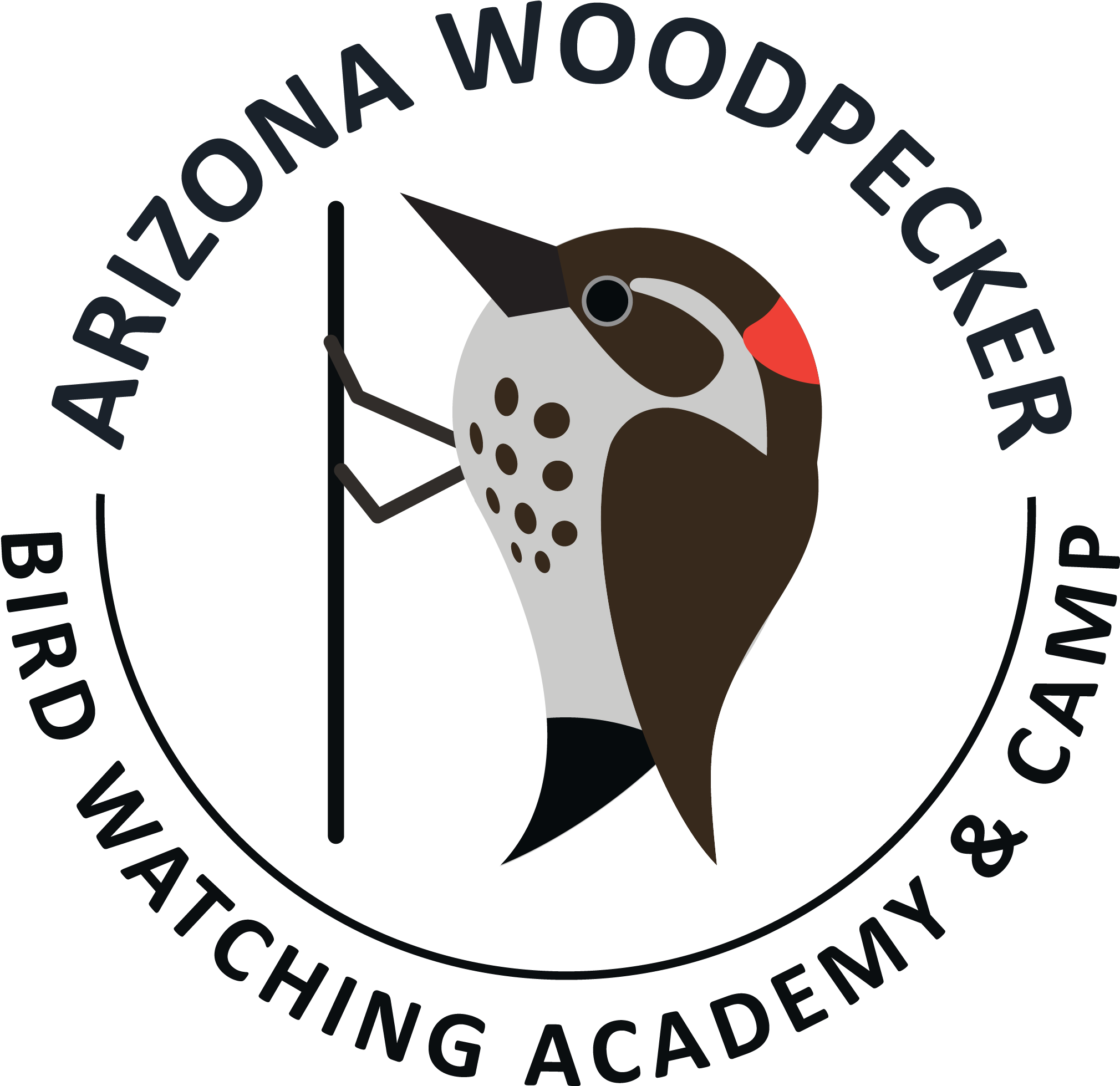 Arizona Woodpecker - Türsab Clipart (2555x2705), Png Download