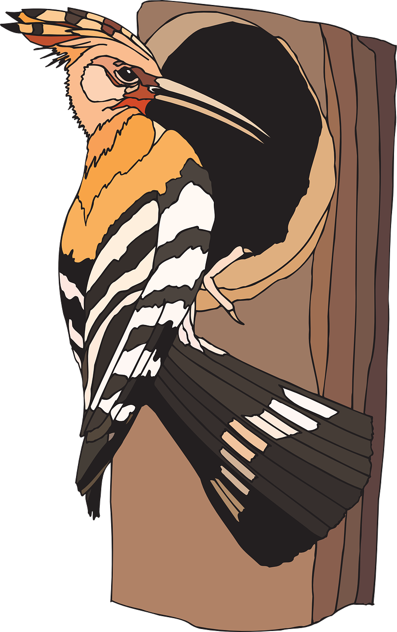 Woodpecker Bird Sitting Tree Png Image - Clipart Images Of Woodpecker Transparent Png (804x1280), Png Download