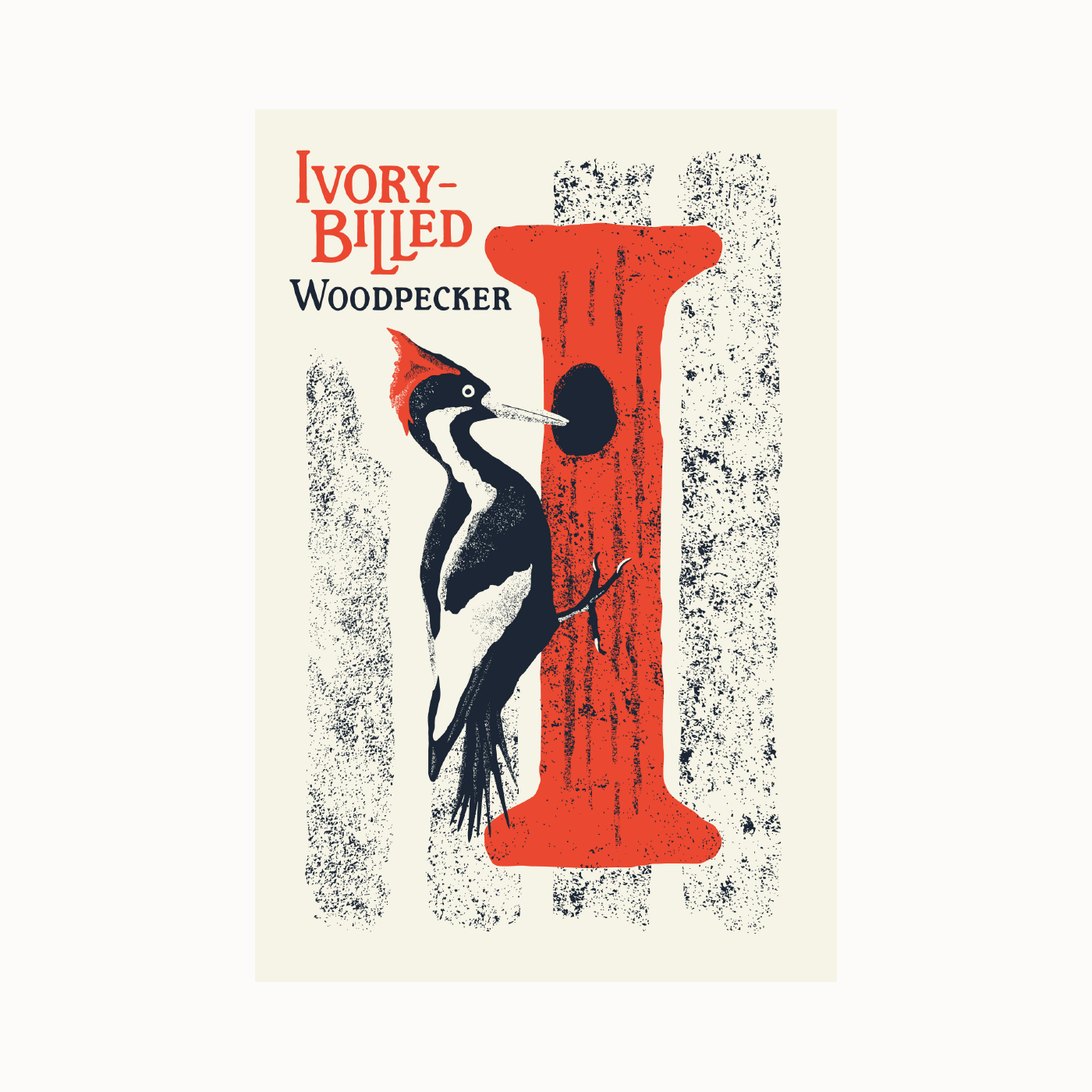 Ivory-billed Woodpecker Clipart (1400x1400), Png Download