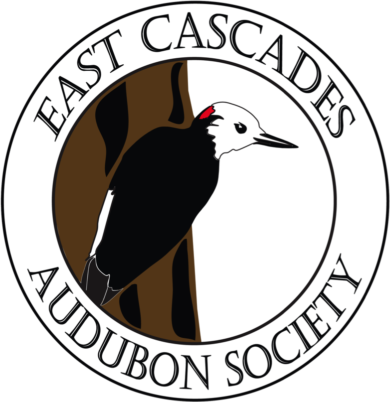 May 31, 2018 @ - Illustration Clipart (793x822), Png Download