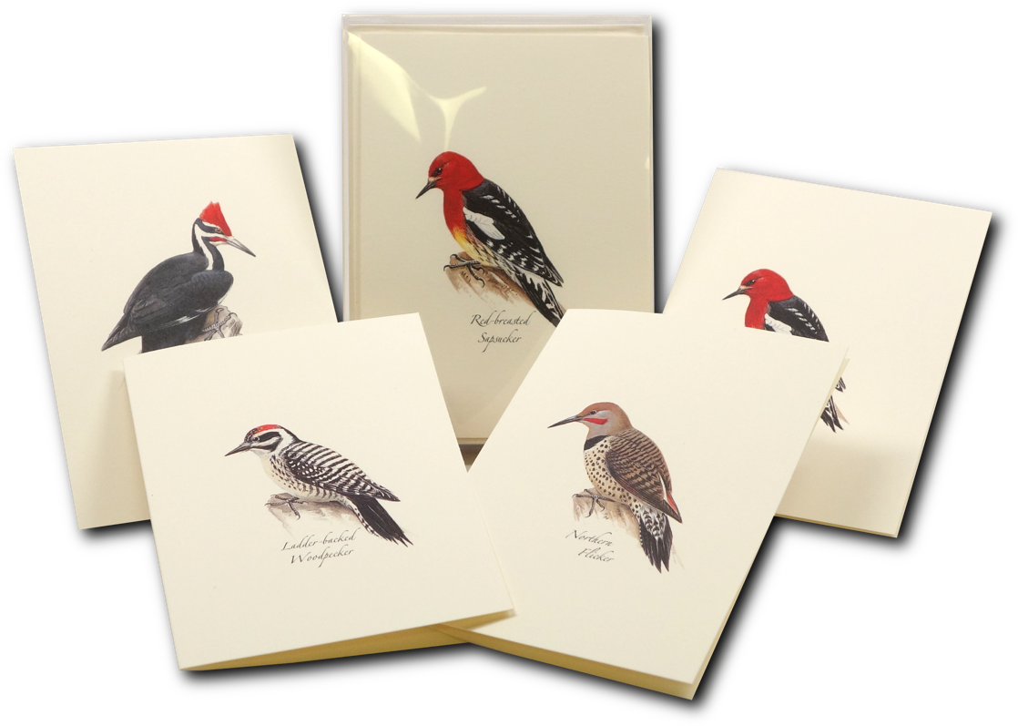 Shopping Cart -  -  - Turkey Clipart (1200x1200), Png Download