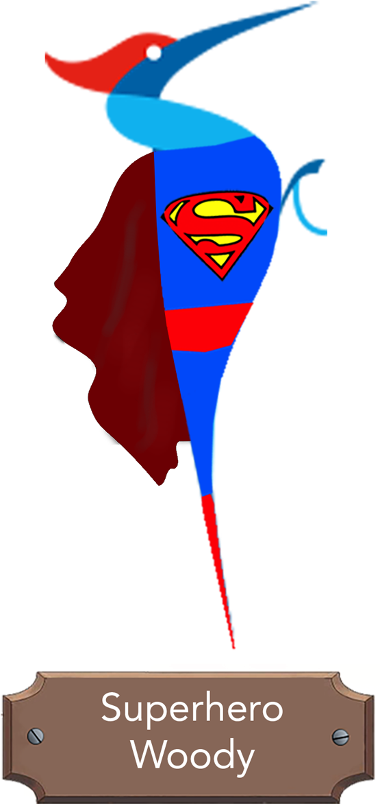 Woodpecker Family - Superman Logo Clipart (900x1350), Png Download