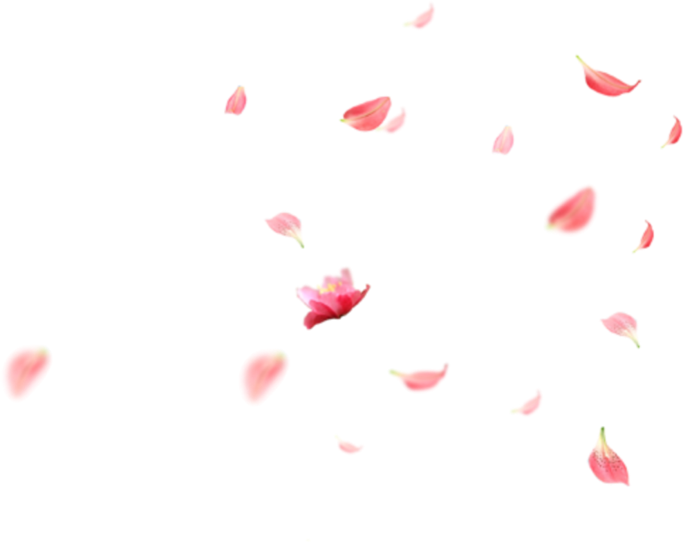 #ftestickers #flowers #cherryblossoms #petals #falling - Art Paper Clipart (1024x1024), Png Download