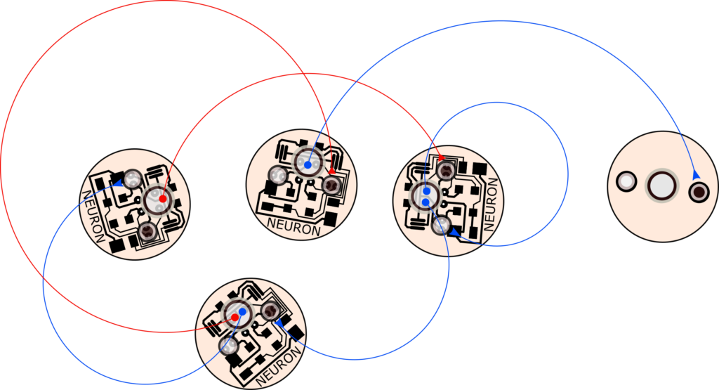 Grupo Neuronas - Circle Clipart (1024x555), Png Download