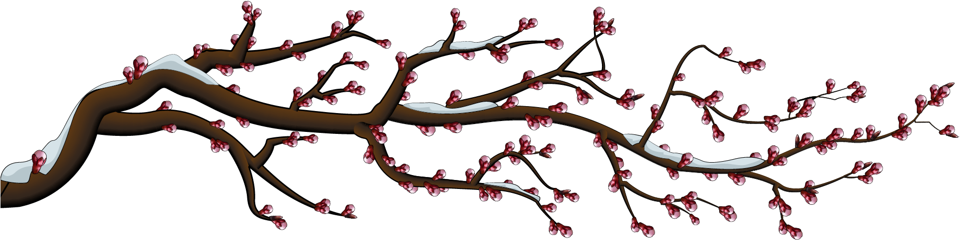 It Blooms In Spring After 810 Years - Cherry Blossom Clipart (1933x484), Png Download