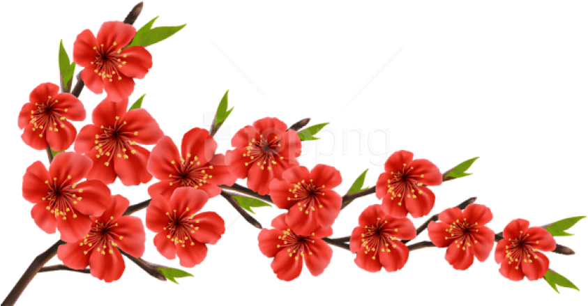 Free Png Red Spring Branch Png Images Transparent - Red Flowers Png Transparent Clipart (850x455), Png Download
