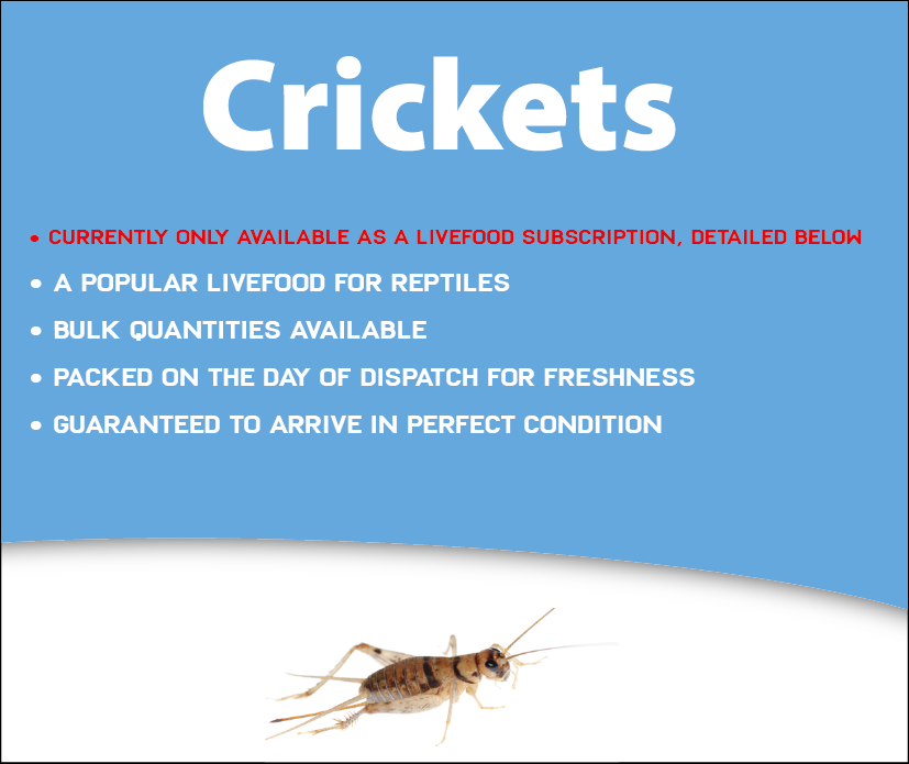 Vets4pets Clipart (827x695), Png Download