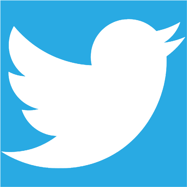 Twiter - Transparent Twitter Icon Png Clipart (739x739), Png Download