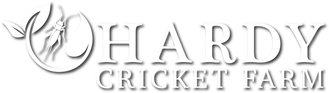 Black-and-white Clipart (1380x450), Png Download