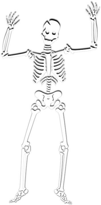 Halloween Human Skeleton Skull Coloring Book - Spooky Scary Skeletons Png Clipart (601x750), Png Download
