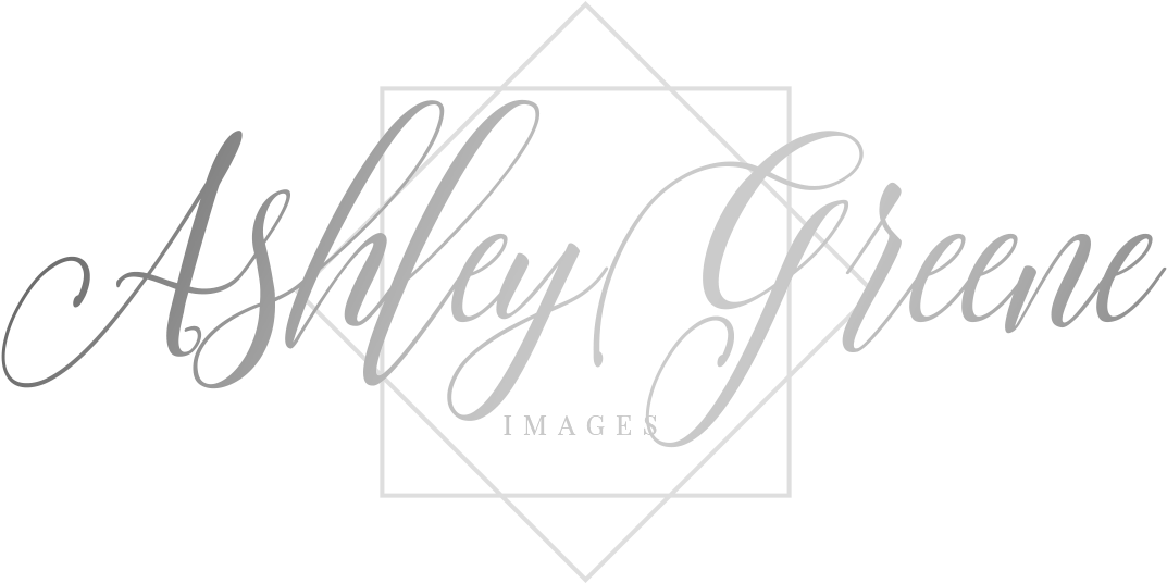 E83b6b - Calligraphy Clipart (1678x753), Png Download