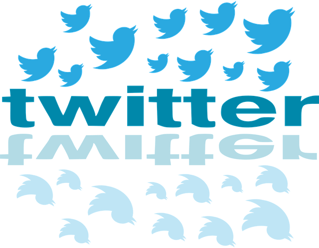 30 Cuentas De Twitter Con Ofertas De Trabajo - Twitter Birds Png Transparent Clipart (640x499), Png Download