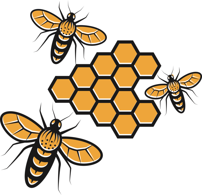 Comb Clipart Honey Bee - Clip Art Honey Free - Png Download (776x750), Png Download