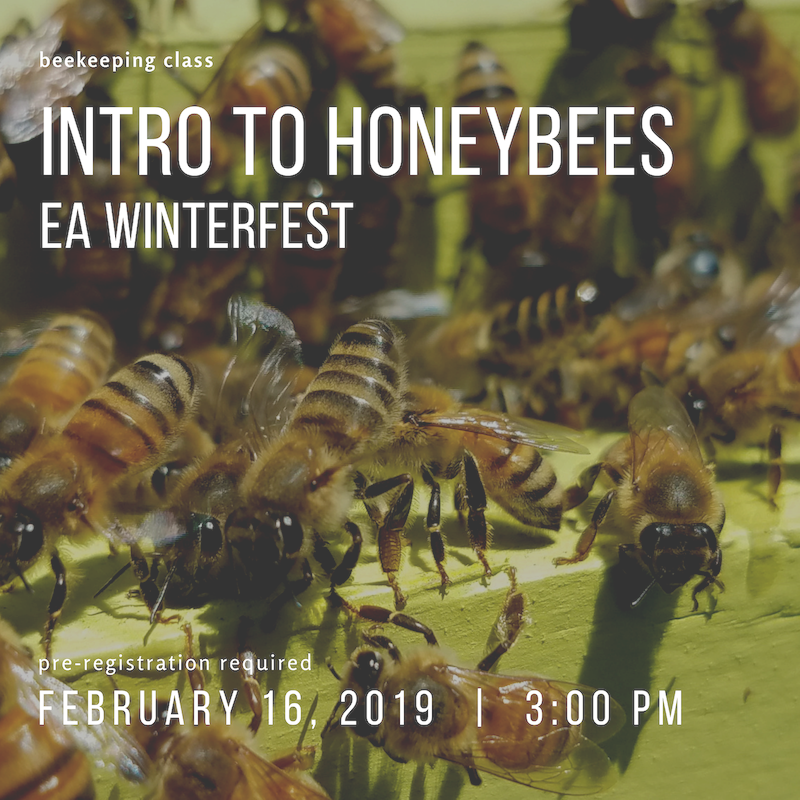 Hornet Clipart (800x800), Png Download