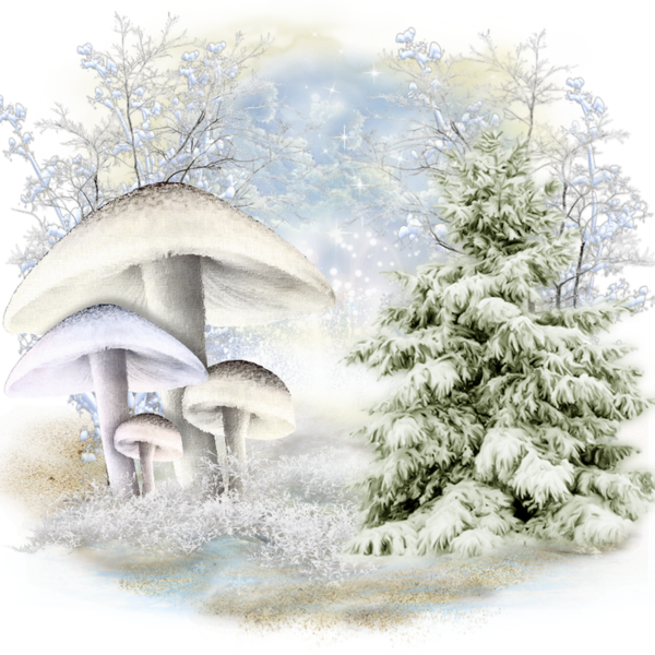Gifs Good Evening Winter Clipart (600x600), Png Download