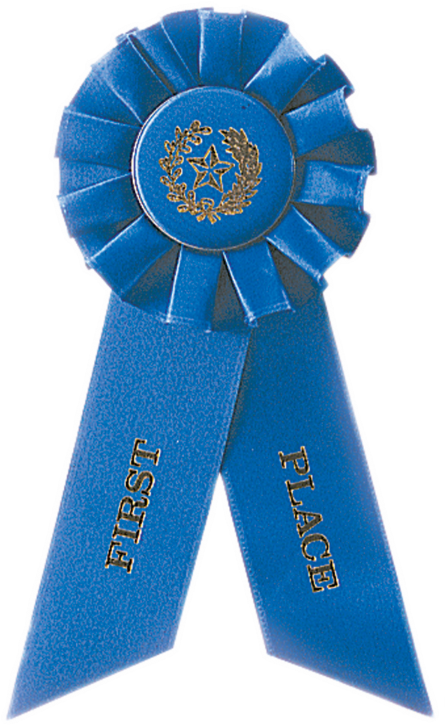 1st Place Blue 3 3/4"x8 1/2" Rosette Ribbon - Blue Ribbon Clipart (750x750), Png Download