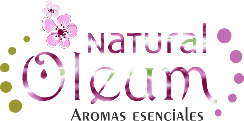 Floral Design Clipart (800x398), Png Download