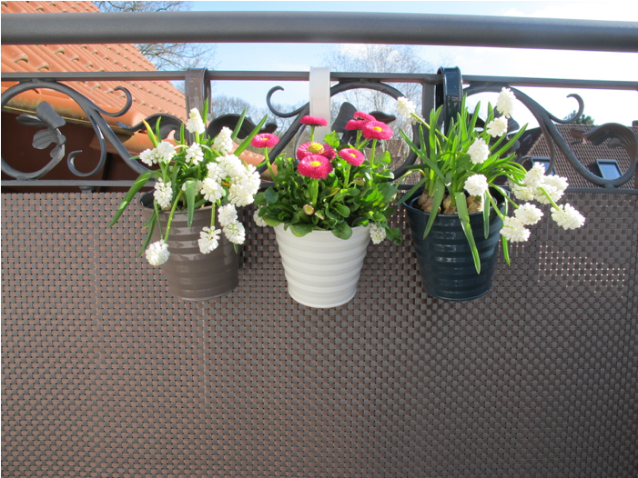 Artificial Flower Clipart (700x700), Png Download