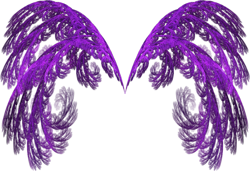 Asas Png - Transparent Fire Wings Png Clipart (800x548), Png Download