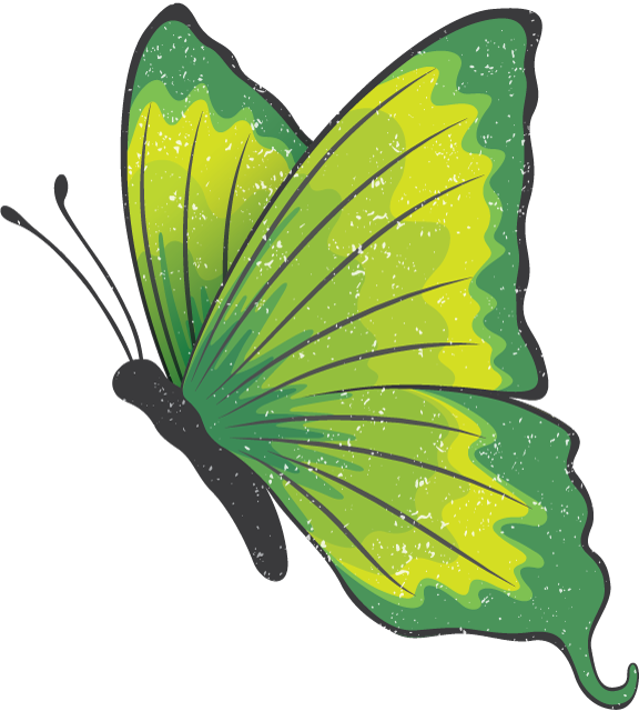 The Green Butterfly Gala May 10, 2018 @ - Transparent Green Butterfly Clipart (576x640), Png Download