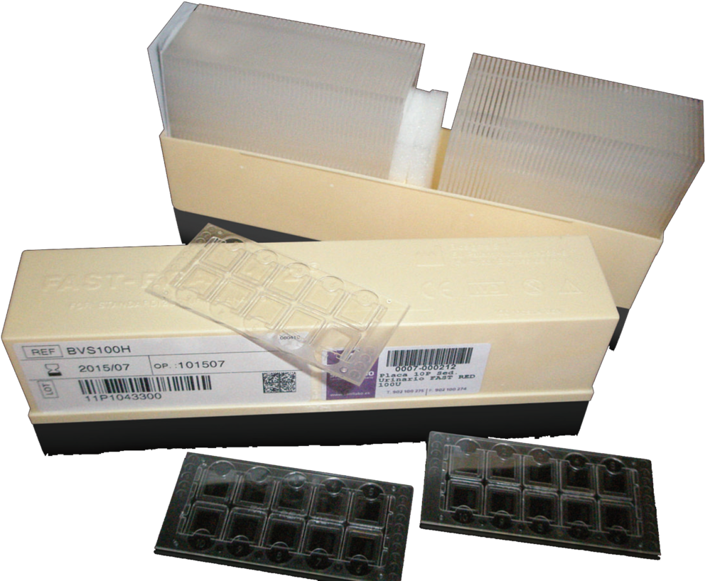 Https - Chocolate Clipart (1024x819), Png Download