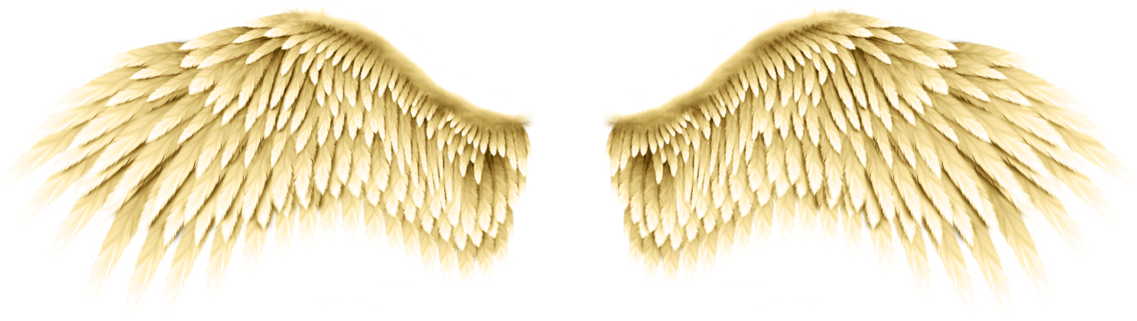 Asas De Anjo Png - Asa De Anjo Dourada Png Clipart (1600x452), Png Download