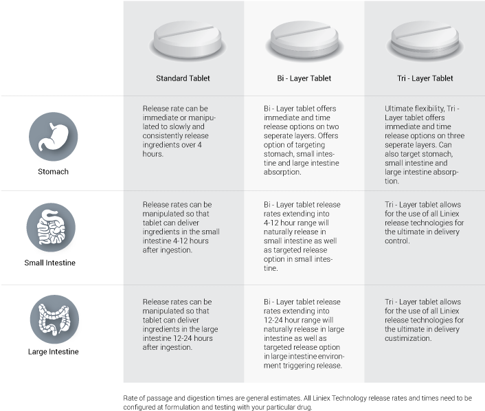 Single Doses Are Much More Likely To Be Incorporated - Circle Clipart (710x606), Png Download