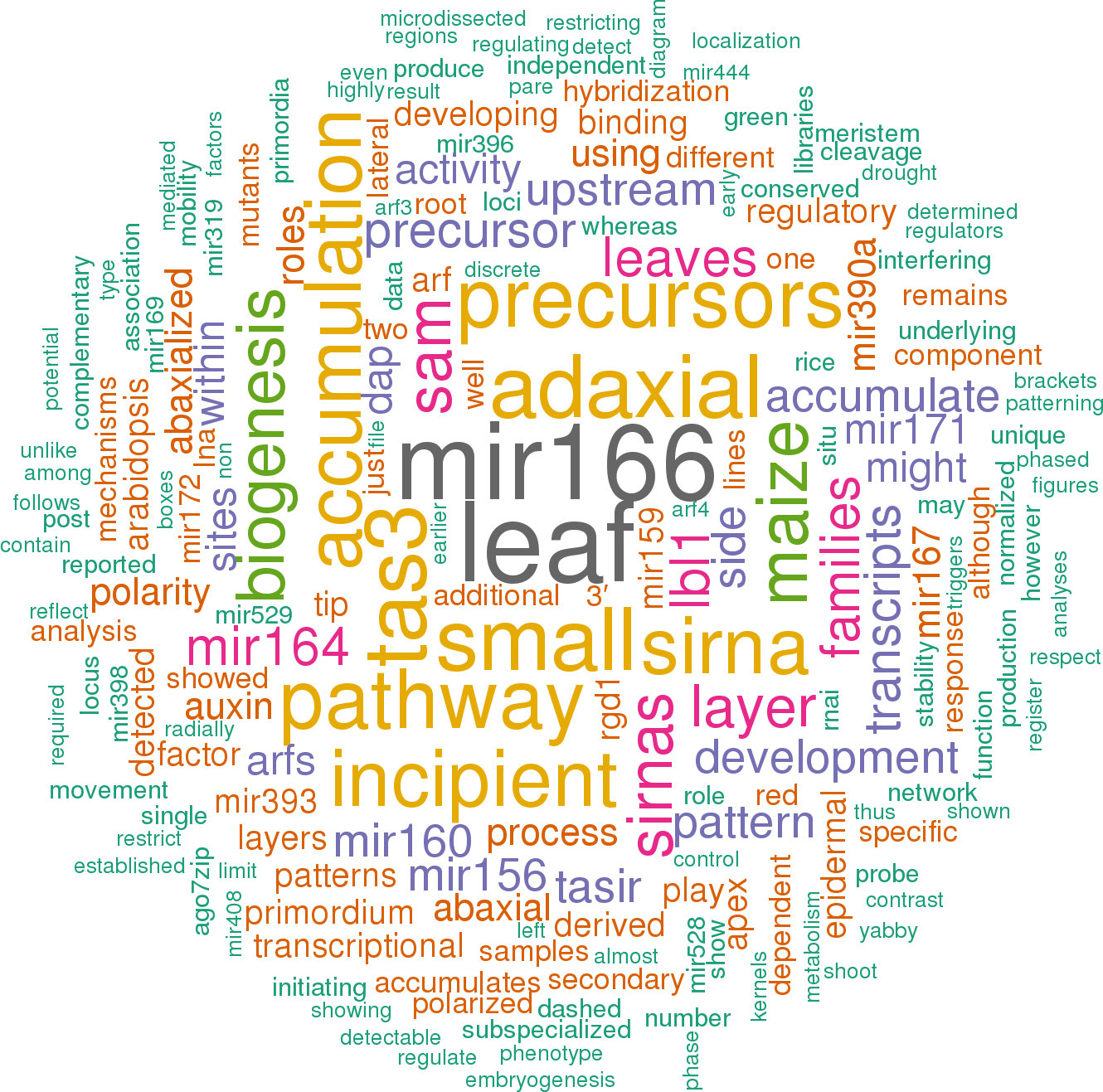 Stem Loop Sequence Zma Mir390b - Word Cloud Power Bi Clipart (1330x1317), Png Download