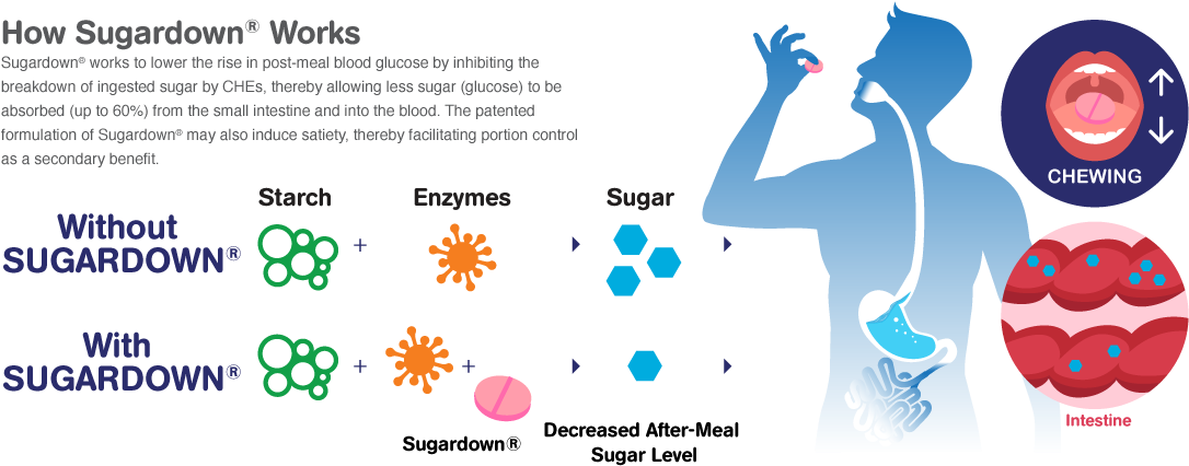 Sugar To Be Absorbed (up To 60%) From The Small Intestine - Graphic Design Clipart (1200x457), Png Download