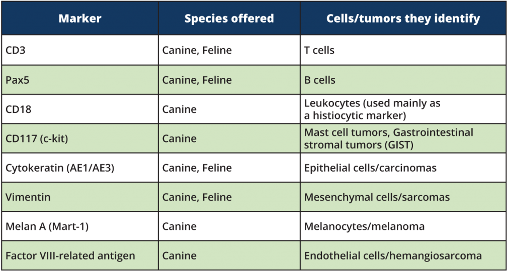 The Ihc Stains We Currently Offer Are Listed Below - Immunohistochemical Stains Clipart (1008x540), Png Download