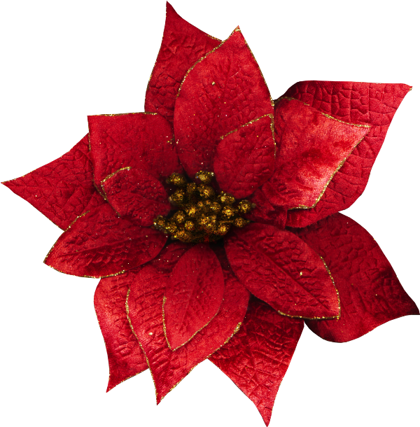 Christmas Flowers Png - Transparent Christmas Flowers Clipart (600x610), Png Download