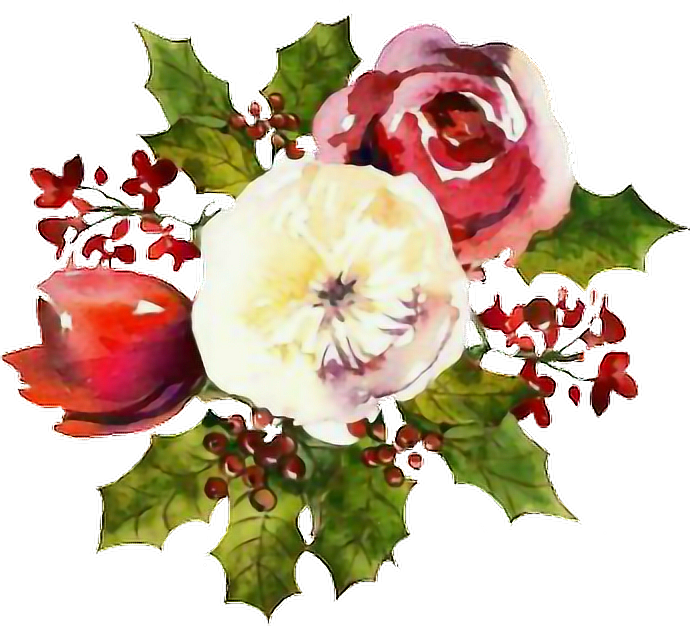 #christmas #flowers #watercolors #sticker - Christmas Flowers Watercolor Png Clipart (690x626), Png Download