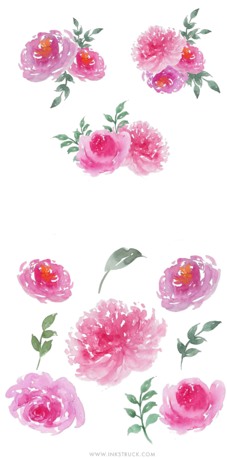 Flower Png Free - Watercolor Painting Clipart (483x1024), Png Download