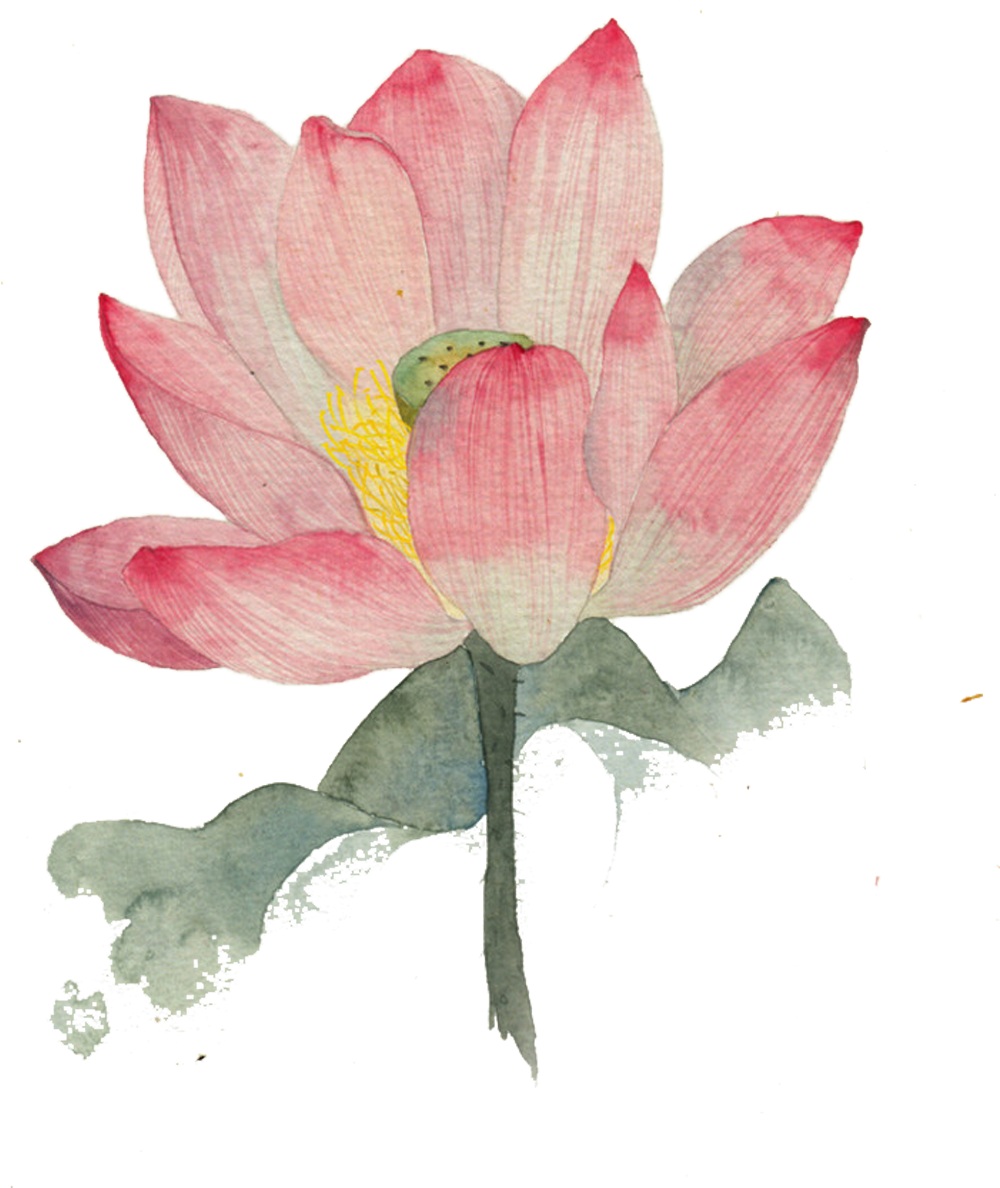 Vector Ink Water Illustration - Lotus Water Color Painting Clipart (999x1244), Png Download