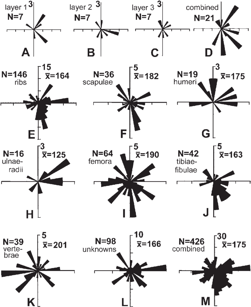 Rose Diagrams Showing The Influence Of Flowing Water - Monochrome Clipart (850x1027), Png Download