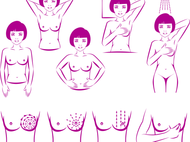 Outubro Rosa - Diagram Of Breast Self Examination Clipart (640x480), Png Download