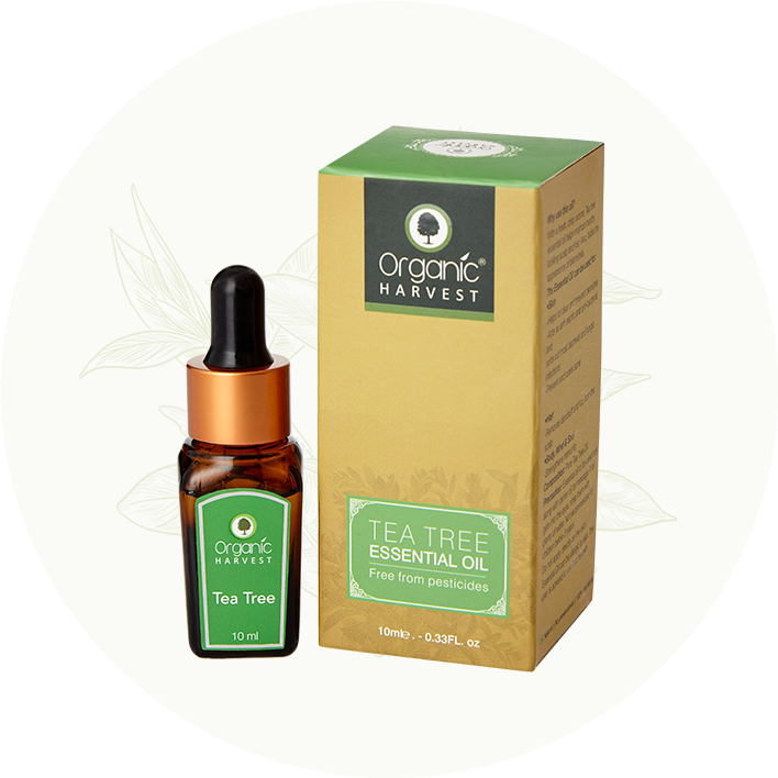 Tea Tree Essential Oil - Cosmetics Clipart (814x723), Png Download