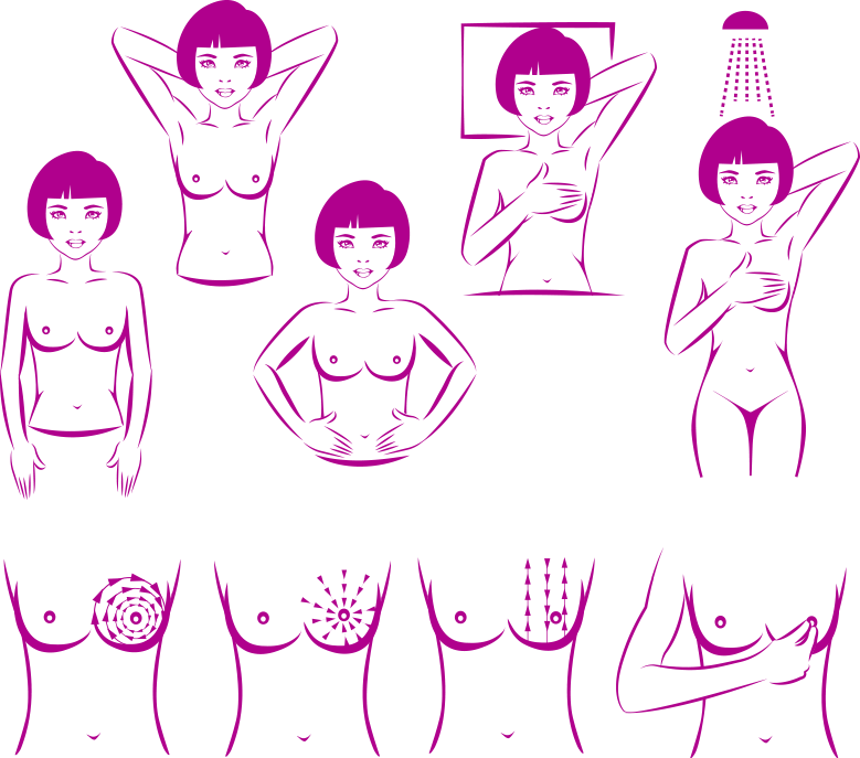 Outubro-rosa - Diagram Of Breast Self Examination Clipart (779x687), Png Download