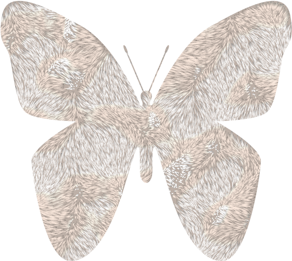 Photo Buterflypelucia - Photobucket Clipart (900x900), Png Download