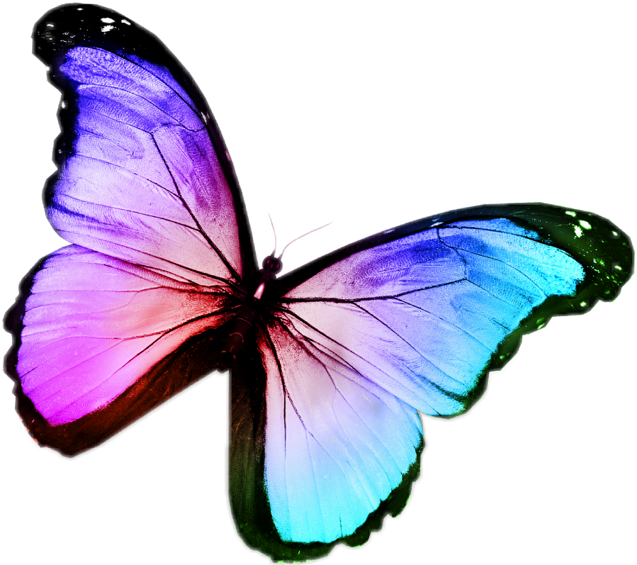 Buterfly Sticker - Nigeria Flag And Logo Clipart (899x797), Png Download