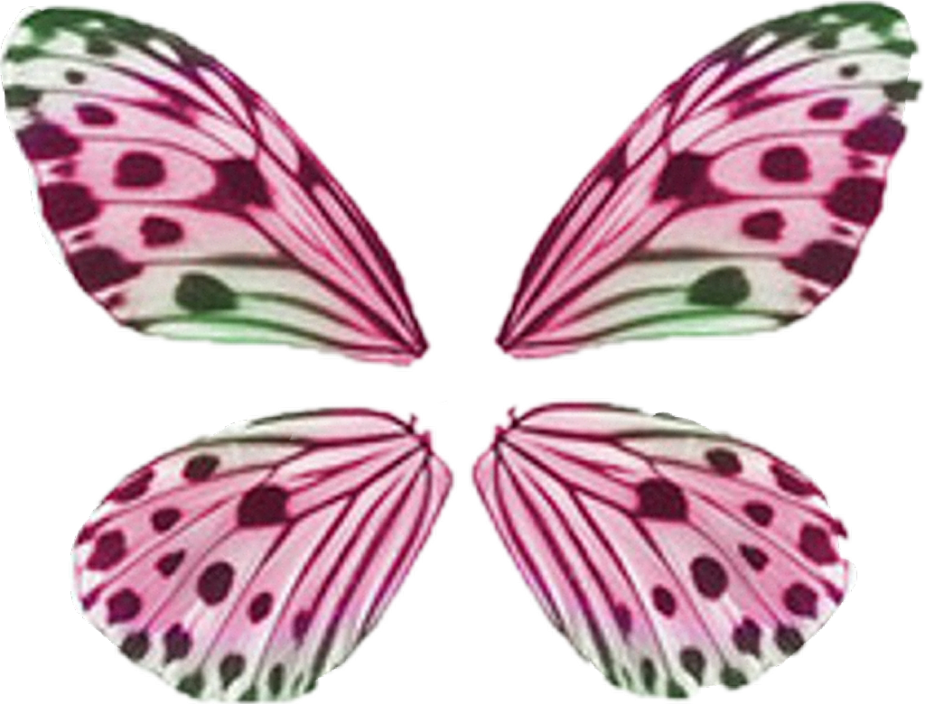 Buterfly Sticker - Butterfly Wing Pattern Clipart (1024x780), Png Download