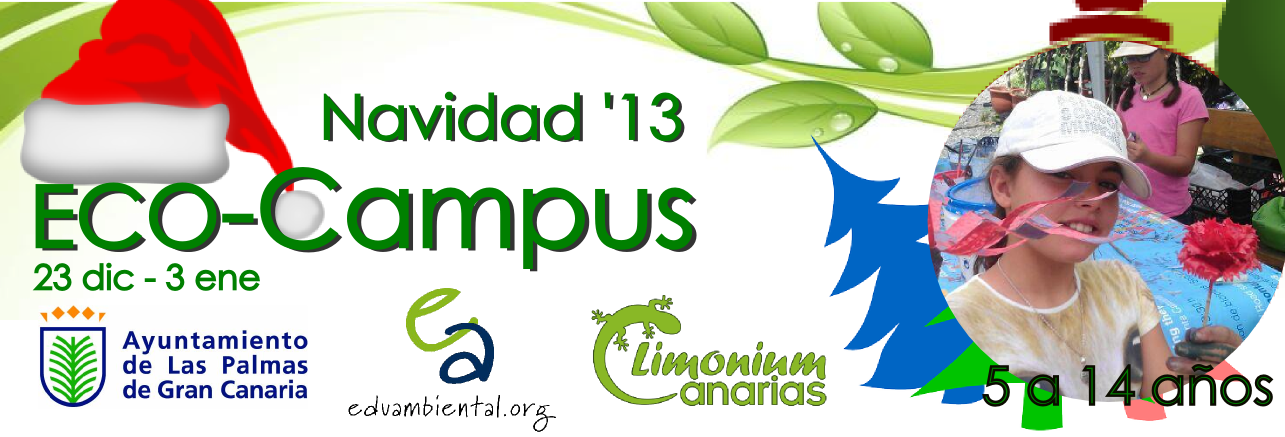 Bannerecocampusnavidad - Ayuntamiento De Las Palmas Clipart (1285x437), Png Download