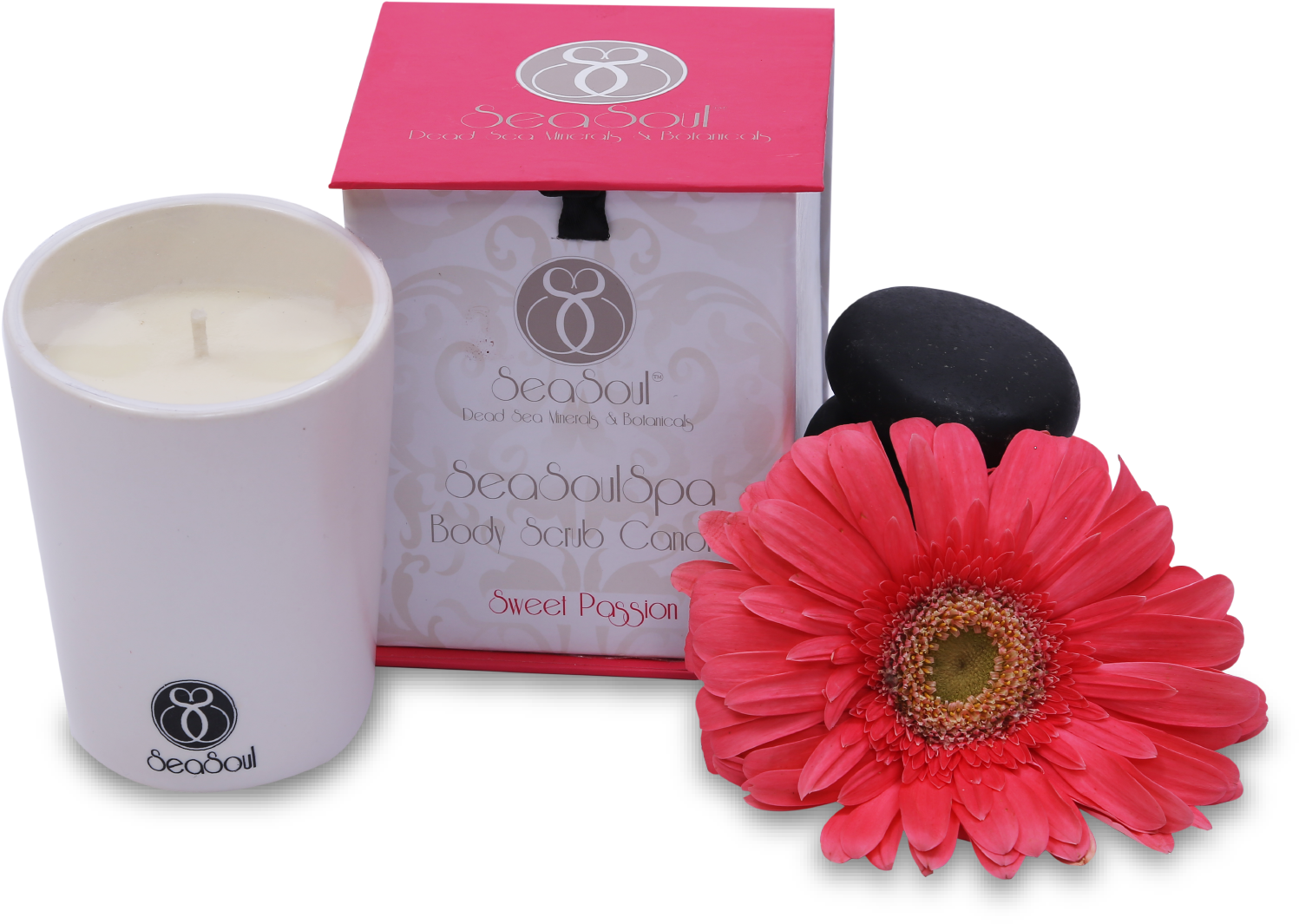 Barberton Daisy Clipart (1709x1709), Png Download