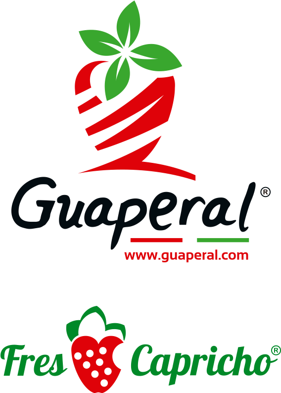 Productores De Fresas - Logos De Empresas De Fresas Clipart (600x956), Png Download