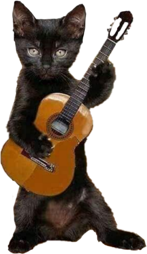 Flamenco Cat , Png Download - Cat With Guitar Happy Birthday Clipart (480x827), Png Download